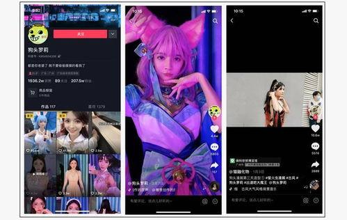 爆料各大网红视频,揭秘各大网红视频背后的秘密与真相