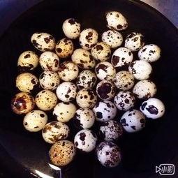 爆料鹌鹑蛋的短视频,营养美味新吃法